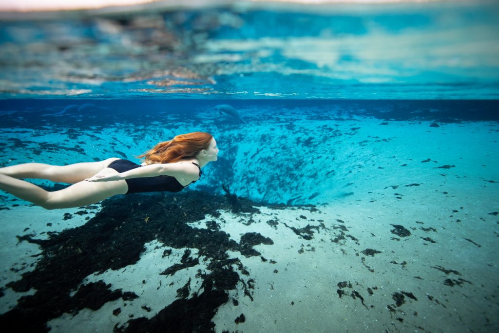 Flórida (EUA) mergulho com peixes-boi manatees