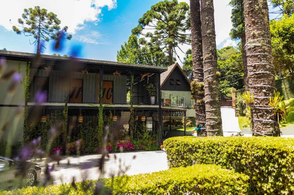 Campos do Jordão Lança Festival de Inverno 2025 com Gastronomia, Cultura e Turismo Local em Destaque